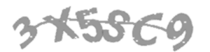 Captcha Challenge
