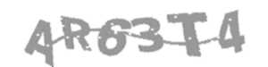 Captcha Challenge
