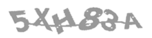 Captcha Challenge