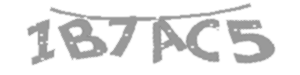 Captcha Challenge